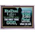 ETERNAL LIFE ONLY THROUGH CHRIST JESUS  Children Room  GWABIDE10396  "24X16"