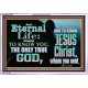 ETERNAL LIFE ONLY THROUGH CHRIST JESUS  Children Room  GWABIDE10396  