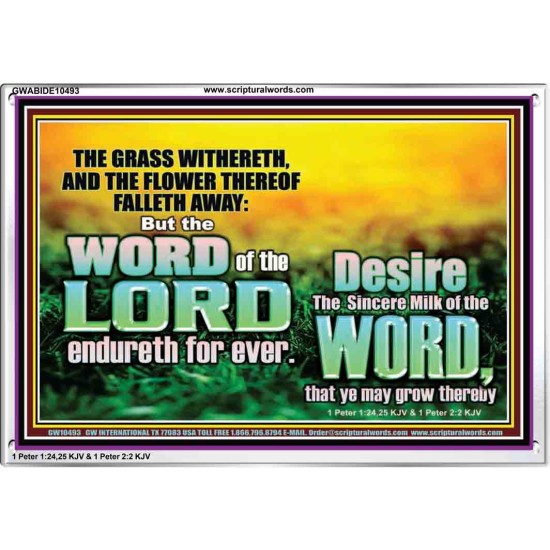 THE WORD OF THE LORD ENDURETH FOR EVER  Christian Wall Décor Acrylic Frame  GWABIDE10493  