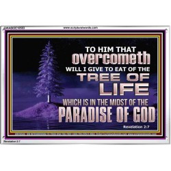 HE THAT OVERCOMETH  Bible Verse Acrylic Frame  GWABIDE10583  "24X16"