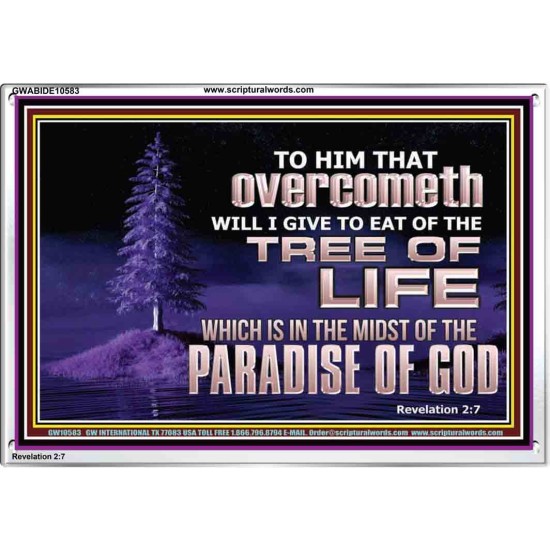 HE THAT OVERCOMETH  Bible Verse Acrylic Frame  GWABIDE10583  