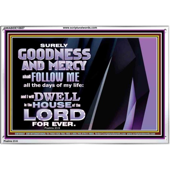 SURELY GOODNESS AND MERCY SHALL FOLLOW ME  Custom Wall Scripture Art  GWABIDE10607  