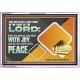 GO OUT WITH JOY AND BE LED FORTH WITH PEACE  Custom Inspiration Bible Verse Acrylic Frame  GWABIDE10617  