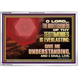 THE RIGHTEOUSNESS OF THY TESTIMONIES IS EVERLASTING O LORD  Religious Wall Art   GWABIDE12048  "24X16"