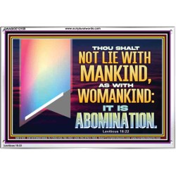 THOU SHALT NOT LIE WITH MANKIND AS WITH WOMANKIND IT IS ABOMINATION  Bible Verse for Home Acrylic Frame  GWABIDE12169  "24X16"