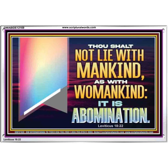 THOU SHALT NOT LIE WITH MANKIND AS WITH WOMANKIND IT IS ABOMINATION  Bible Verse for Home Acrylic Frame  GWABIDE12169  