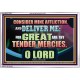 GREAT ARE THY TENDER MERCIES O LORD  Unique Scriptural Picture  GWABIDE12180  