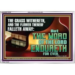 THE WORD OF THE LORD ENDURETH FOR EVER  Sanctuary Wall Acrylic Frame  GWABIDE12434  "24X16"