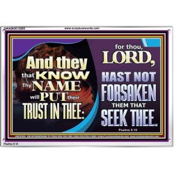 THEY THAT KNOW THY NAME WILL NOT BE FORSAKEN  Biblical Art Glass Acrylic Frame  GWABIDE12983  "24X16"
