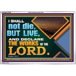 I SHALL NOT DIE BUT LIVE AND DECLARE THE WORKS OF THE LORD  Eternal Power Acrylic Frame  GWABIDE13034  "24X16"