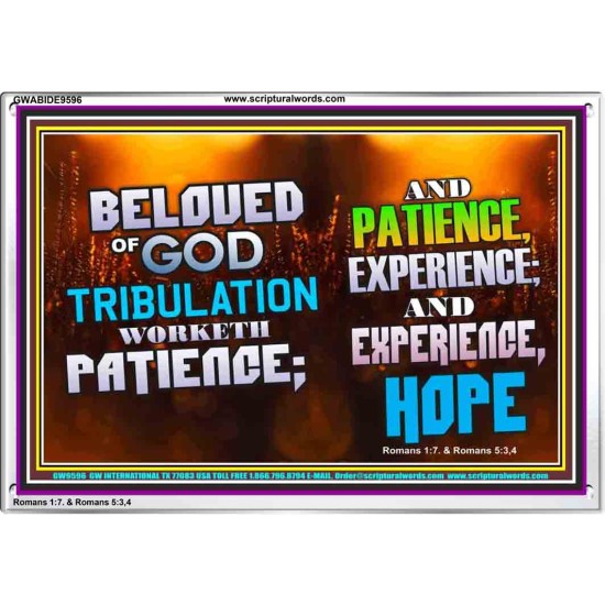 TRIBULATION BRINGS ABOUT PATIENCE EXPERIENCE AND HOPE  Christian Art Work Acrylic Frame  GWABIDE9596  
