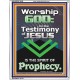 TESTIMONY OF JESUS IS THE SPIRIT OF PROPHECY  Kitchen Wall Décor  GWABIDE10046  