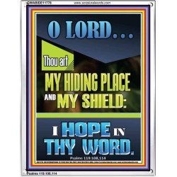 JEHOVAH OUR HIDING PLACE AND SHIELD  Encouraging Bible Verses Portrait  GWABIDE11778  "16X24"