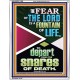 THE FEAR OF THE LORD IS THE FOUNTAIN OF LIFE  Large Scripture Wall Art  GWABIDE11966  