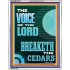 THE VOICE OF THE LORD BREAKETH THE CEDARS  Scriptural Décor Portrait  GWABIDE11979  "16X24"