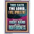 I WILL UPHOLD THEE WITH THE RIGHT HAND OF MY RIGHTEOUSNESS  Christian Quote Portrait  GWABIDE12267  "16X24"