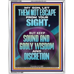 KEEP SOUND AND GODLY WISDOM AND DISCRETION  Bible Verse for Home Portrait  GWABIDE12390  "16X24"