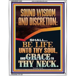 SOUND WISDOM AND DISCRETION SHALL BE LIFE UNTO THY SOUL  Bible Verse for Home Portrait  GWABIDE12391  "16X24"