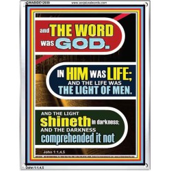 IN HIM WAS LIFE AND THE LIFE WAS THE LIGHT OF MEN  Eternal Power Portrait  GWABIDE12939  "16X24"