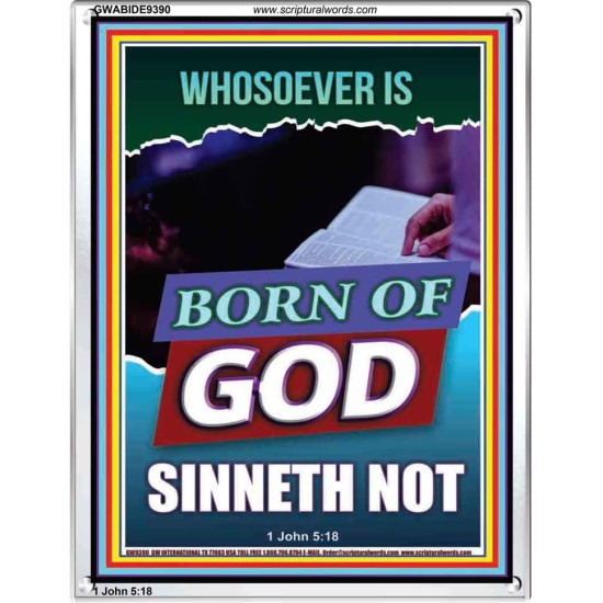 GOD'S CHILDREN DO NOT CONTINUE TO SIN  Righteous Living Christian Portrait  GWABIDE9390  