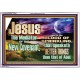 JESUS CHRIST MEDIATOR OF THE NEW COVENANT  Bible Verse for Home Acrylic Frame  GWAMAZEMENT10345  