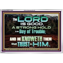 TRY HIM THE LORD IS GOOD ALL THE TIME  Ultimate Power Picture  GWAMAZEMENT10383  "32X24"