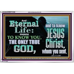 ETERNAL LIFE ONLY THROUGH CHRIST JESUS  Children Room  GWAMAZEMENT10396  "32X24"