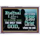 ETERNAL LIFE ONLY THROUGH CHRIST JESUS  Children Room  GWAMAZEMENT10396  