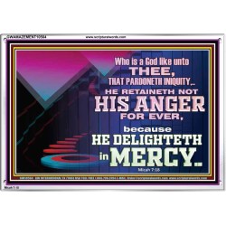 THE LORD DELIGHTETH IN MERCY  Contemporary Christian Wall Art Acrylic Frame  GWAMAZEMENT10564  "32X24"