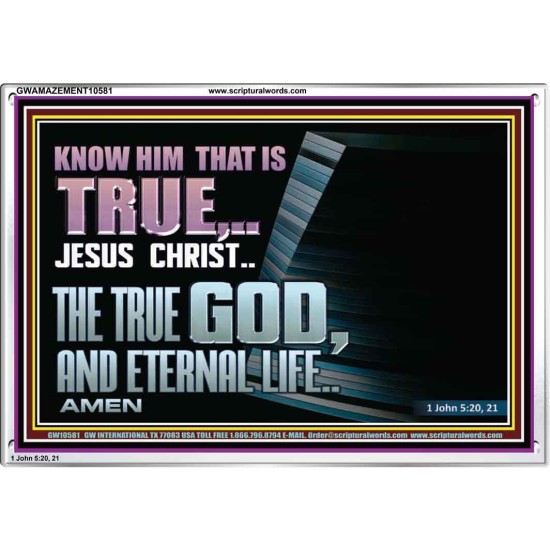 JESUS CHRIST THE TRUE GOD AND ETERNAL LIFE  Christian Wall Art  GWAMAZEMENT10581  
