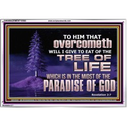 HE THAT OVERCOMETH  Bible Verse Acrylic Frame  GWAMAZEMENT10583  "32X24"