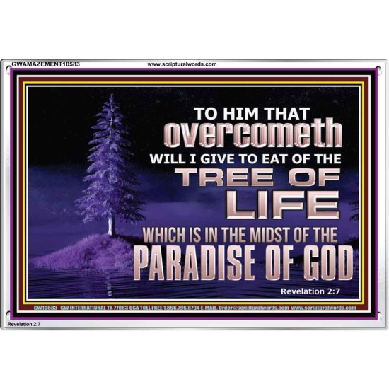 HE THAT OVERCOMETH  Bible Verse Acrylic Frame  GWAMAZEMENT10583  