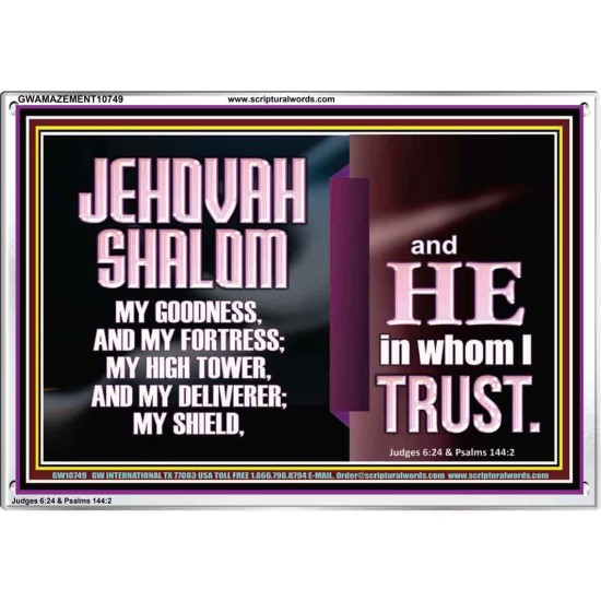 JEHOVAH SHALOM OUR GOODNESS FORTRESS HIGH TOWER DELIVERER AND SHIELD  Encouraging Bible Verse Acrylic Frame  GWAMAZEMENT10749  