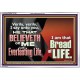 HE THAT BELIEVETH ON ME HATH EVERLASTING LIFE  Contemporary Christian Wall Art  GWAMAZEMENT10758  