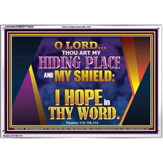 THOU ART MY HIDING PLACE AND SHIELD  Bible Verses Wall Art Acrylic Frame  GWAMAZEMENT12045  