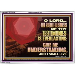 THE RIGHTEOUSNESS OF THY TESTIMONIES IS EVERLASTING O LORD  Religious Wall Art   GWAMAZEMENT12048  "32X24"