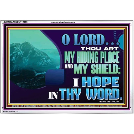 THOU ART MY HIDING PLACE AND SHIELD  Large Custom Acrylic Frame   GWAMAZEMENT12159  