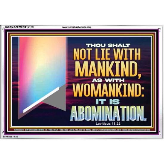 THOU SHALT NOT LIE WITH MANKIND AS WITH WOMANKIND IT IS ABOMINATION  Bible Verse for Home Acrylic Frame  GWAMAZEMENT12169  