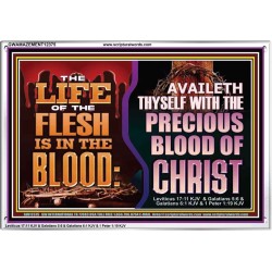 AVAILETH THYSELF WITH THE PRECIOUS BLOOD OF CHRIST  Children Room  GWAMAZEMENT12375  "32X24"
