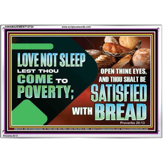 LOVE NOT SLEEP LEST THOU COME TO POVERTY  Bible Verse Art Acrylic Frame  GWAMAZEMENT12724  