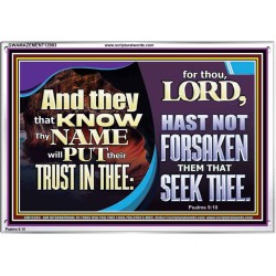 THEY THAT KNOW THY NAME WILL NOT BE FORSAKEN  Biblical Art Glass Acrylic Frame  GWAMAZEMENT12983  "32X24"
