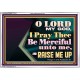 LORD MY GOD, I PRAY THEE BE MERCIFUL UNTO ME, AND RAISE ME UP  Unique Bible Verse Acrylic Frame  GWAMAZEMENT13112  