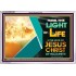THE LIGHT OF LIFE OUR LORD JESUS CHRIST  Righteous Living Christian Acrylic Frame  GWAMAZEMENT9552  "32X24"
