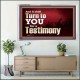 IT SHALL TURN TO YOU FOR A TESTIMONY  Inspirational Bible Verse Acrylic Frame  GWAMAZEMENT10339  