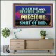 GENTLE AND PEACEFUL SPIRIT VERY PRECIOUS IN GOD SIGHT  Bible Verses to Encourage  Acrylic Frame  GWAMAZEMENT10496  