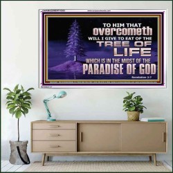 HE THAT OVERCOMETH  Bible Verse Acrylic Frame  GWAMAZEMENT10583  "32X24"