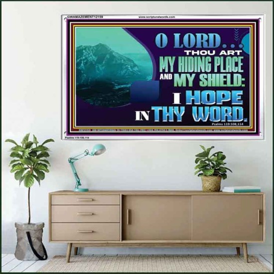 THOU ART MY HIDING PLACE AND SHIELD  Large Custom Acrylic Frame   GWAMAZEMENT12159  