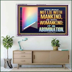 THOU SHALT NOT LIE WITH MANKIND AS WITH WOMANKIND IT IS ABOMINATION  Bible Verse for Home Acrylic Frame  GWAMAZEMENT12169  "32X24"