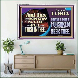 THEY THAT KNOW THY NAME WILL NOT BE FORSAKEN  Biblical Art Glass Acrylic Frame  GWAMAZEMENT12983  "32X24"