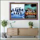 HAVE THE LIGHT OF LIFE  Sanctuary Wall Acrylic Frame  GWAMAZEMENT9547  